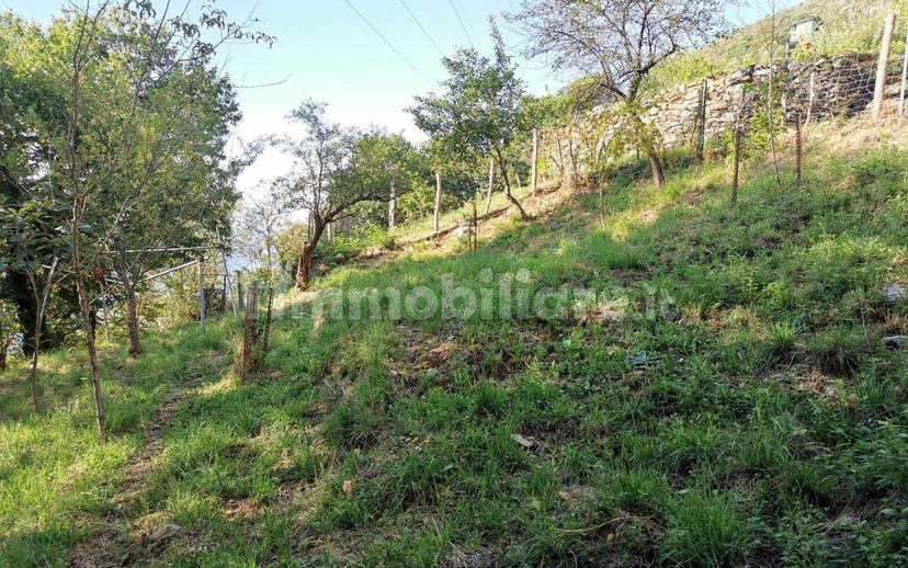 Casale frazione Grabbia, Bellano — foto 4 di 14