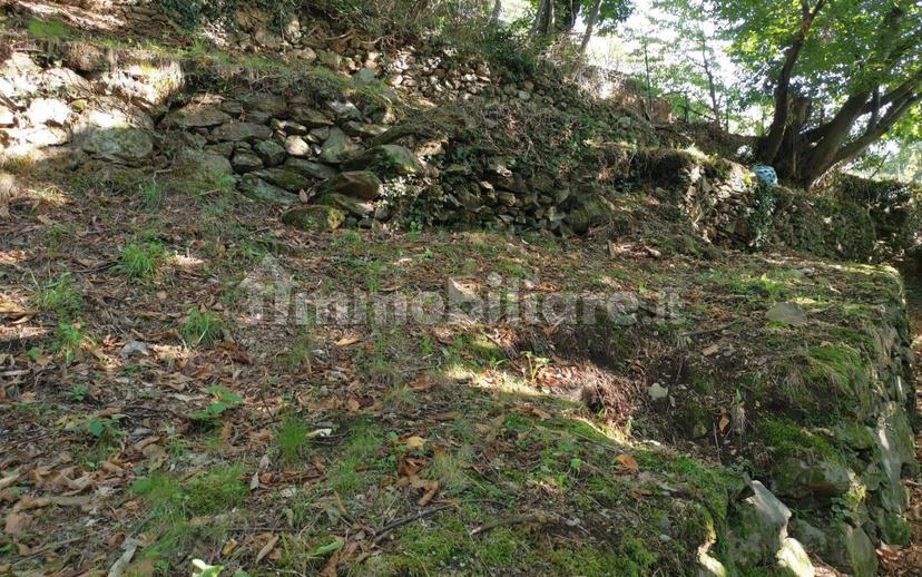 Casale frazione Grabbia, Bellano — foto 10 di 14