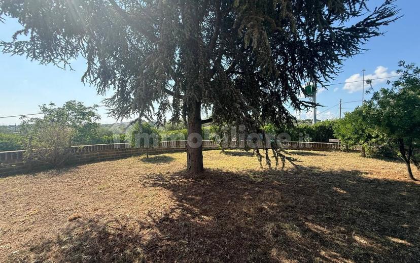 Villa unifamiliare via dei Tigli, Spoltore — foto 42 di 50