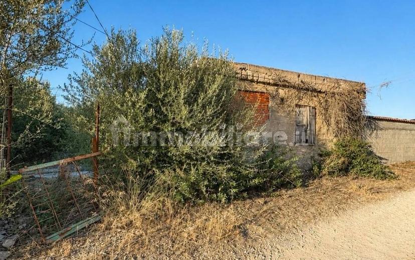 Terratetto unifamiliare regione Català snc, Pivarada, Alghero — foto 2 di 8