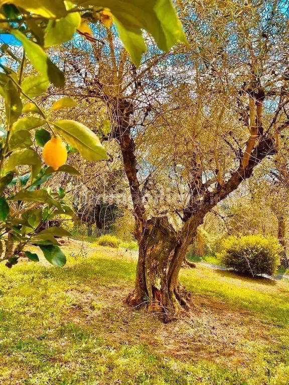 Villa unifamiliare via delle Sezioni 3610A, Bargecchia, Corsanico, Massarosa — foto 9 di 32