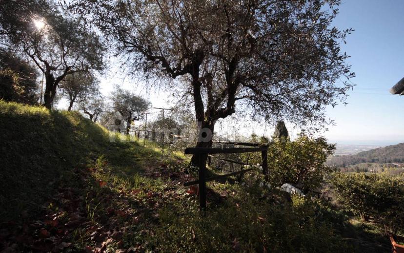 Villa unifamiliare via delle Sezioni 3610A, Bargecchia, Corsanico, Massarosa — foto 25 di 32