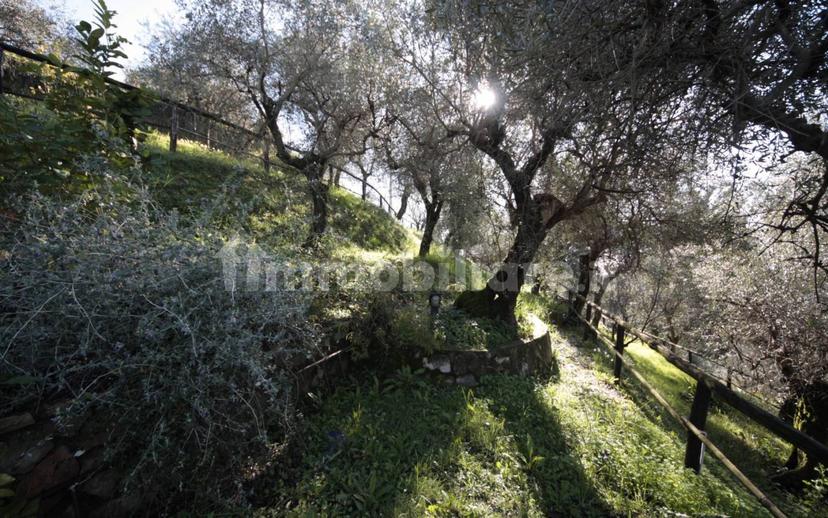 Villa unifamiliare via delle Sezioni 3610A, Bargecchia, Corsanico, Massarosa — foto 32 di 32