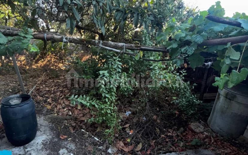 Terratetto plurifamiliare via Caprera 5, Dualchi — foto 8 di 33