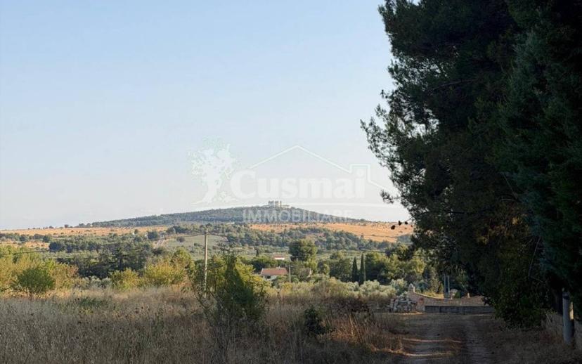 Villa unifamiliare viale Residenziale, Montegrosso - Boschetto, Andria — foto 13 di 16