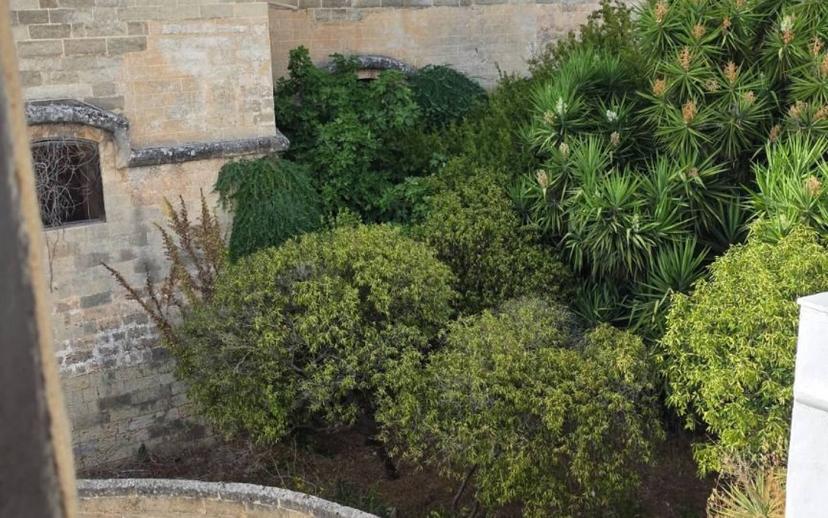 Terratetto plurifamiliare piazza della Vittoria, Centro, Parabita — foto 16 di 39