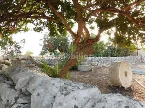Villa unifamiliare Contrada Tagliati San C, Rosolini — foto 4 di 22