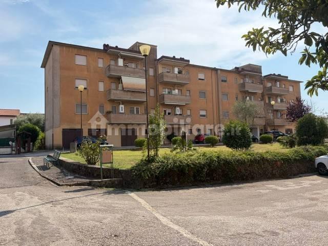 Appartamento via Santa Maria 72, Pignataro Interamna — foto 11 di 18