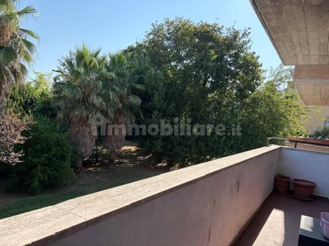 Appartamento via Santa Maria 72, Pignataro Interamna — foto 4 di 18