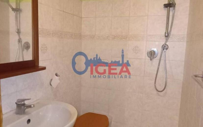 Appartamento via della Steccaia, Badia A Elmi, San Gimignano — foto 12 di 17