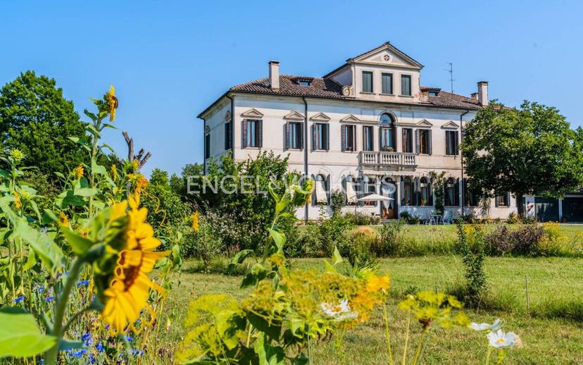 Villa unifamiliare, ottimo stato, 750 m², Ponzano, Ponzano Veneto — foto 24 di 32