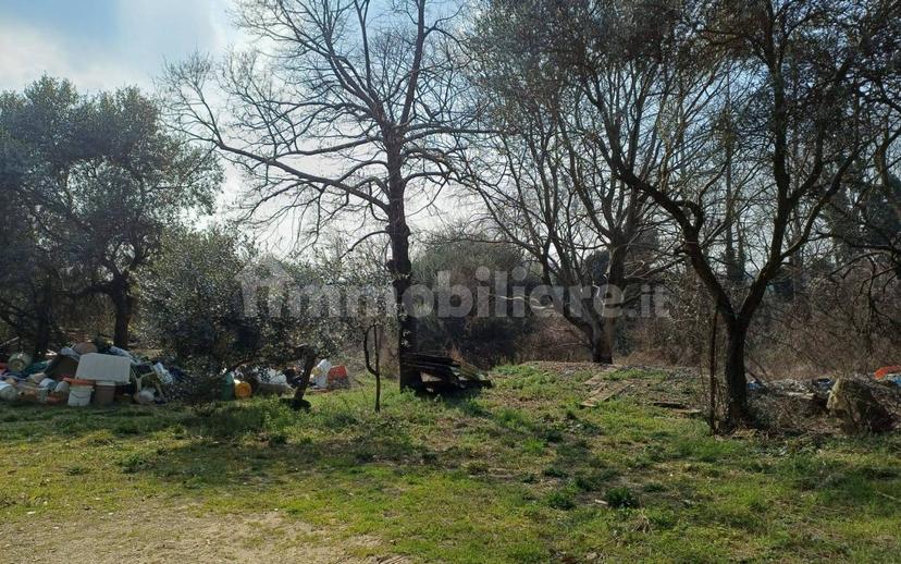 Cascina via San Nicolò, Ponti sul Mincio — foto 3 di 9