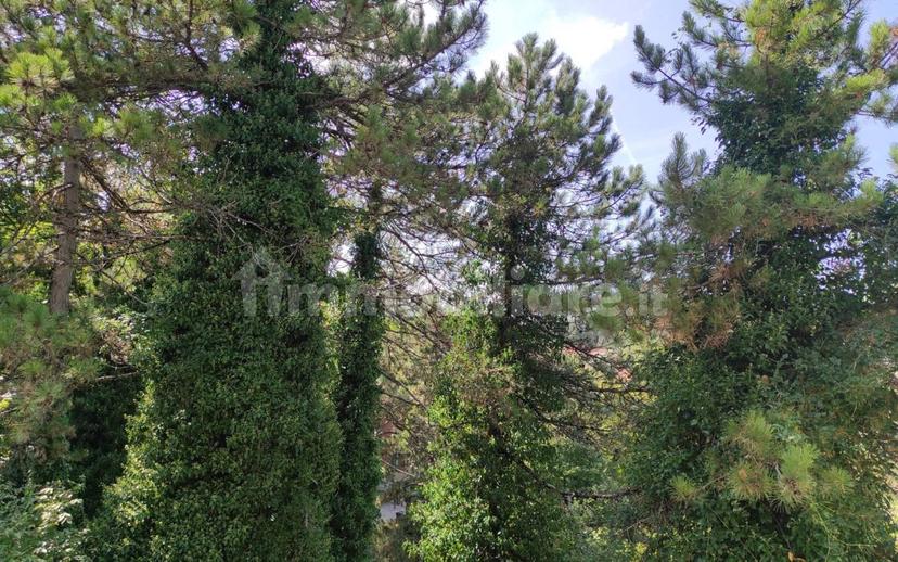 Trilocale Strada Regionale Sublacense, Altipiani Di Arcinazzo, Trevi nel Lazio — foto 34 di 54