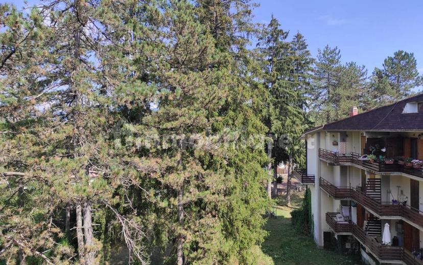 Trilocale Strada Regionale Sublacense, Altipiani Di Arcinazzo, Trevi nel Lazio — foto 18 di 54