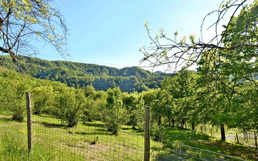Villa unifamiliare, da ristrutturare, 167 m², Centro, Civitella di Romagna — foto 13 di 14
