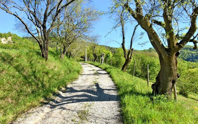 Villa unifamiliare, da ristrutturare, 167 m², Centro, Civitella di Romagna — foto 9 di 14