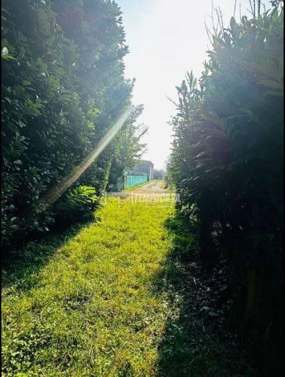 Cascina Cascina Autunno 20, Concorezzo — foto 7 di 19