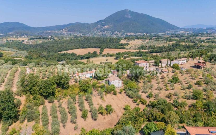 Casale via Ripette, Casperia — foto 18 di 33