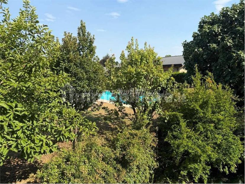 Villa unifamiliare, ottimo stato, 481 m², Agrate, Agrate Conturbia — foto 9 di 37
