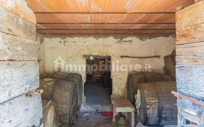 Casale via Ripette, Casperia — foto 31 di 33