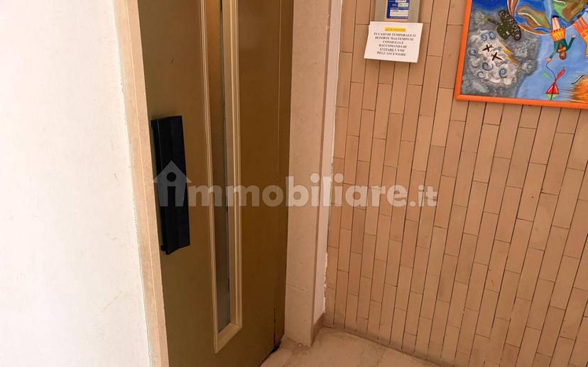Appartamento ottimo stato, su più livelli, Rosignano Solvay, Rosignano Marittimo — foto 18 di 21