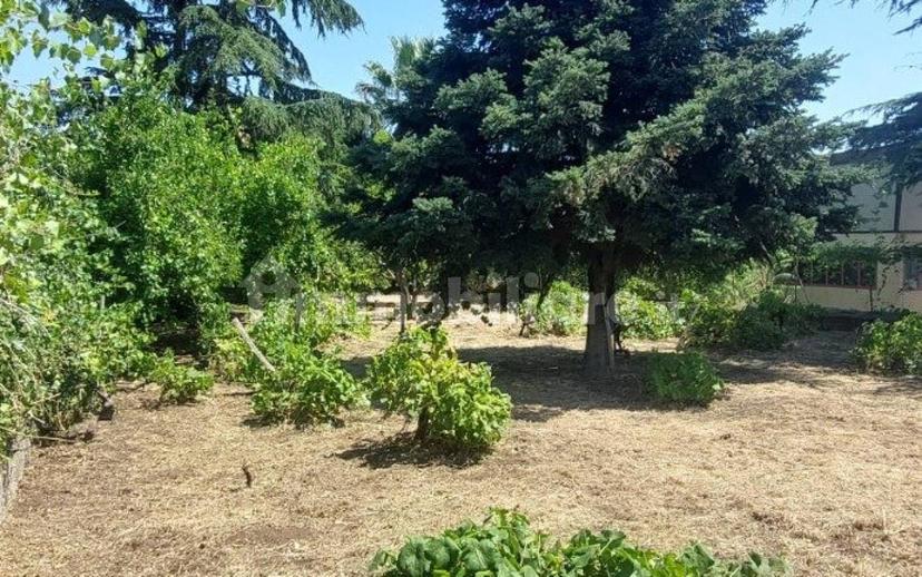 Terratetto unifamiliare via Nuova del Convento 23, Centro, Piedimonte Etneo — foto 36 di 41