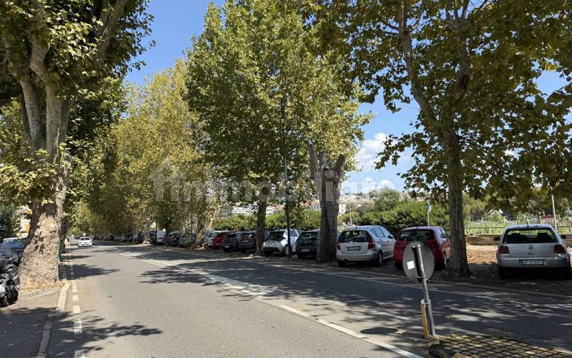 Attico corso Agostino Ricci 14, Oltreletimbro, Santa Rita, Savona — foto 2 di 72
