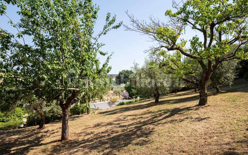 Villa unifamiliare via Umberto I, Montisi, Montalcino — foto 24 di 27