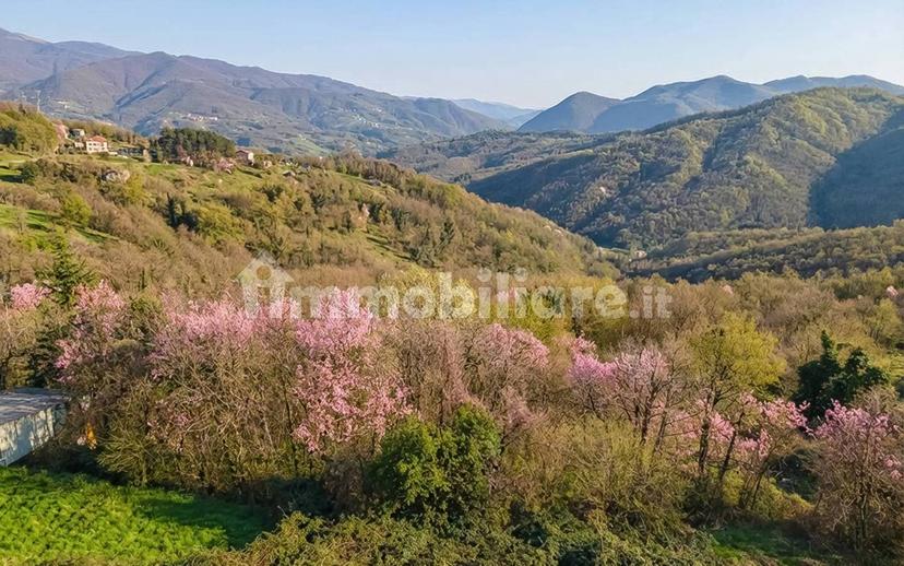 Villa plurifamiliare via 24 Maggio 5, Ossegna, Maissana — foto 52 di 63