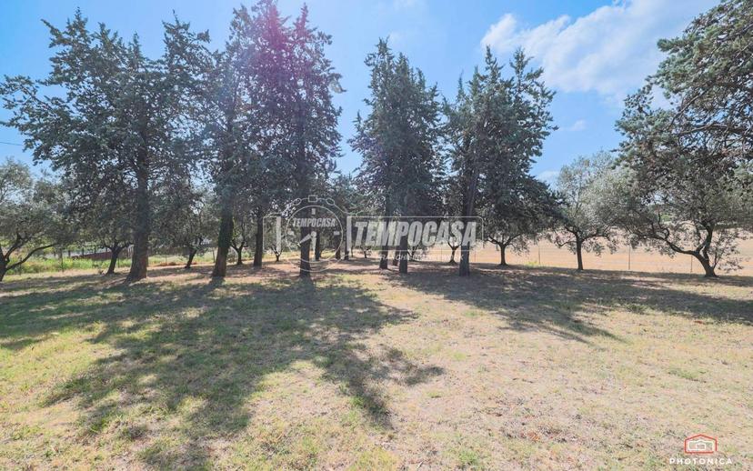Appartamento via dei Montefeltro, Scacciano, Misano Adriatico — foto 33 di 53