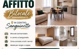 Bilocale 50 m², Centro, Sanguinetto