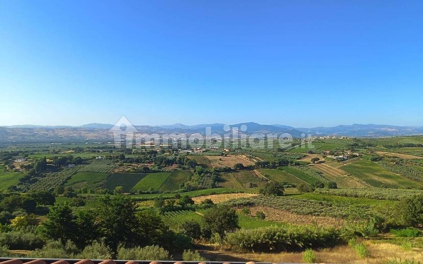 Villa bifamiliare via Matassa 24, Centro, Mozzagrogna — foto 5 di 37