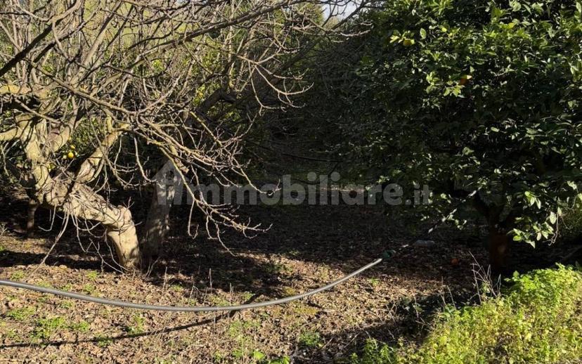 Terratetto unifamiliare Strada Statale della Valle del Platani, Campofranco — foto 11 di 16