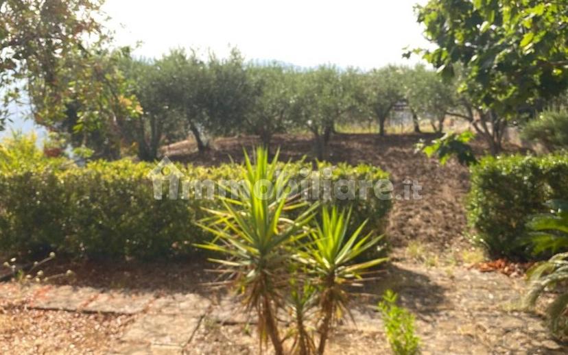 Villa unifamiliare Contrada Vinzeria, Castelbuono — foto 12 di 13