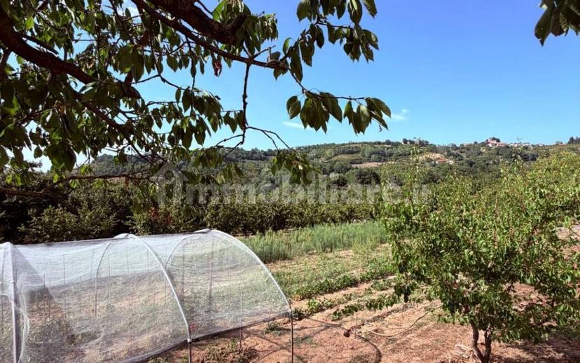 Villa bifamiliare via Provinciale 1, Serravalle Langhe — foto 15 di 29