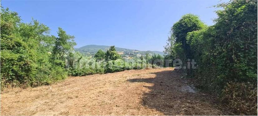 Rustico Loc. Case Nuove, Baschi — foto 12 di 16
