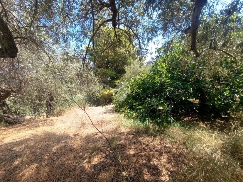 Villa unifamiliare Contrada Danigarci, Termini Imerese — foto 33 di 34