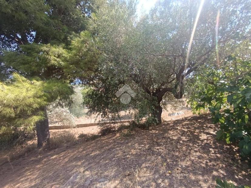 Villa unifamiliare Contrada Danigarci, Termini Imerese — foto 21 di 34