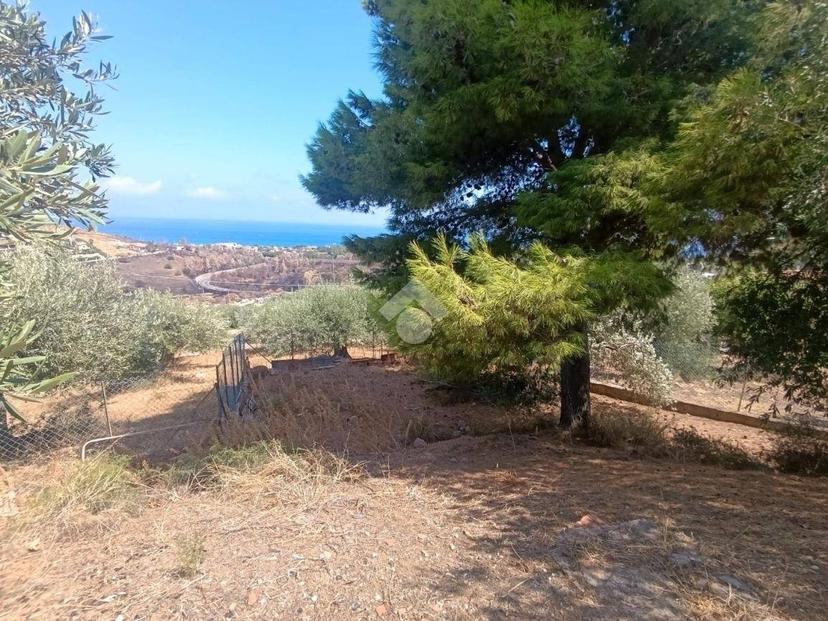 Villa unifamiliare Contrada Danigarci, Termini Imerese — foto 2 di 34