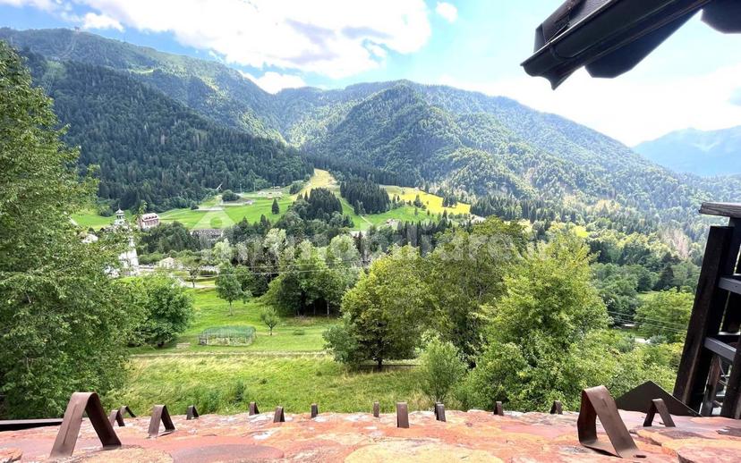 Terratetto plurifamiliare via Belvedere, Centro, Ravascletto — foto 10 di 38