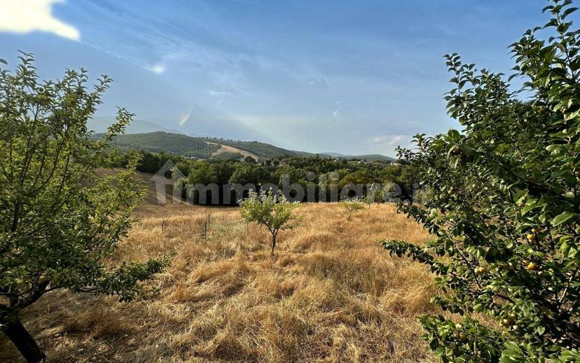 Villa bifamiliare Vocabolo Torricella 80, Montecastrilli — foto 4 di 20