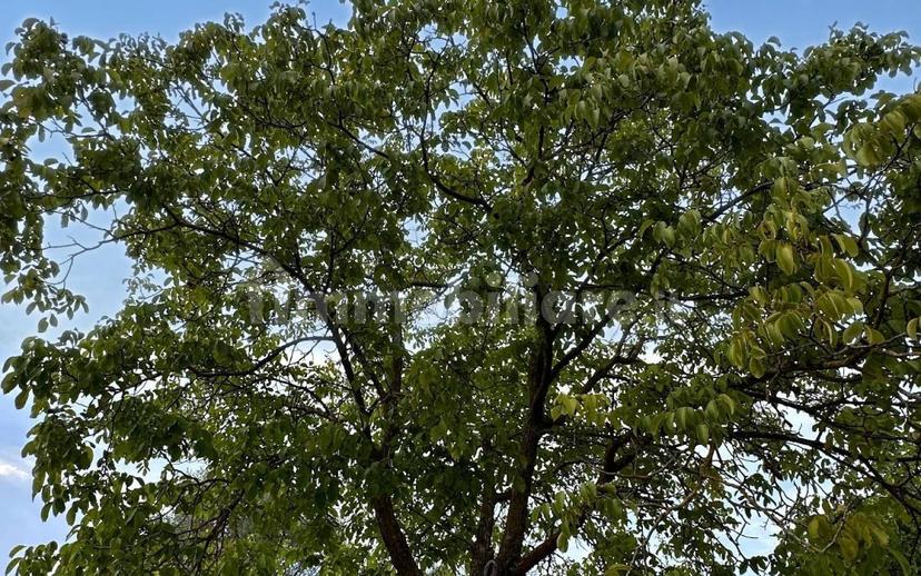Villa bifamiliare Vocabolo Torricella 80, Montecastrilli — foto 11 di 20