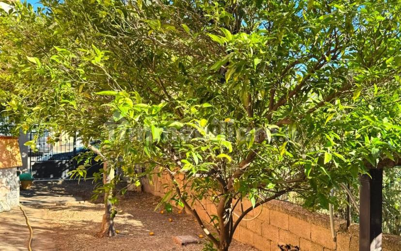 Terratetto unifamiliare via Terranova 3, Solanas, Cabras — foto 56 di 107