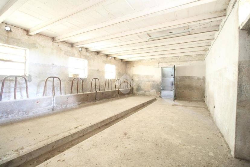 Terratetto unifamiliare via Vanzo Vecchio 50, Frazioni di Camisano Vicentino, Camisano Vicentino — foto 12 di 36