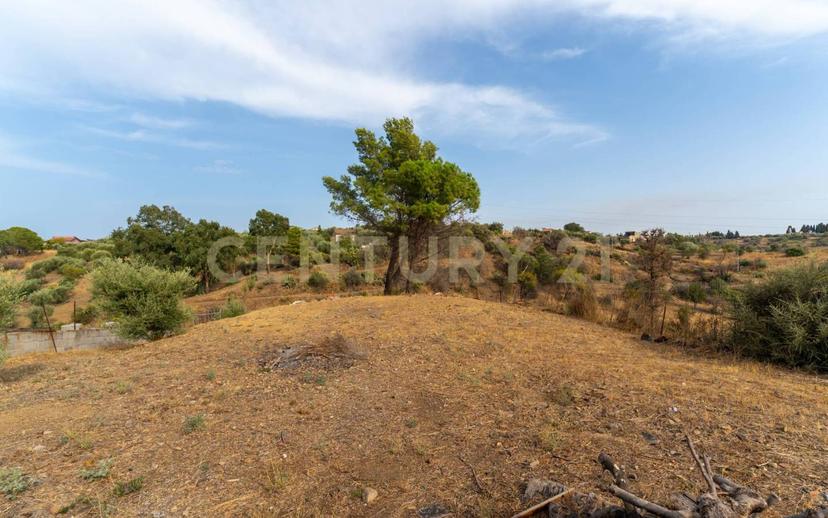 Villa unifamiliare via Salso 15, Palermo - Indipendenza, Catania — foto 41 di 55