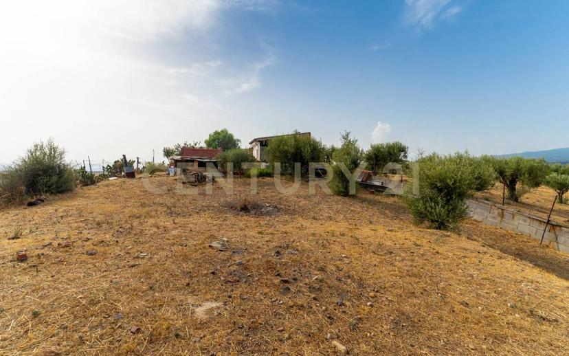 Villa unifamiliare via Salso 15, Palermo - Indipendenza, Catania — foto 49 di 55