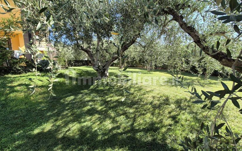 Villa unifamiliare Strada del Cerqueto, Borgo Rivo, Terni — foto 15 di 29