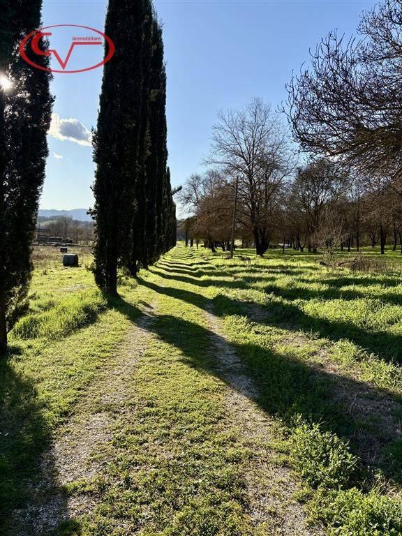 Villa unifamiliare Strada Comunale di Piantravigne, Terranuova Bracciolini — foto 7 di 14