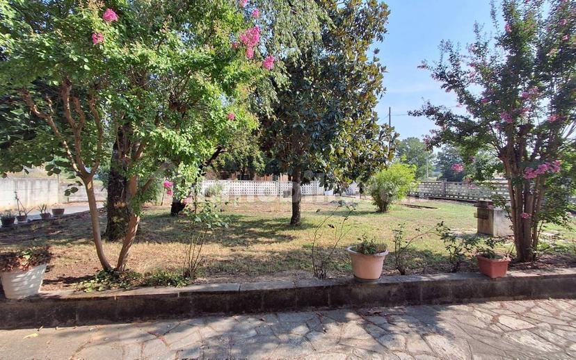 Casale frazione Arrobio, Arrobio, Viarigi — foto 12 di 33