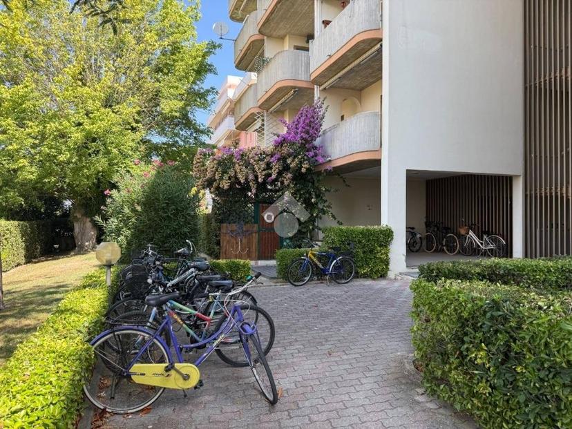 Trilocale via Gaetano Donizetti 8, Villa Rosa, Martinsicuro